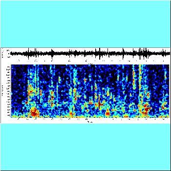 Pseudorinelepis genibarbis_spectrogram.png